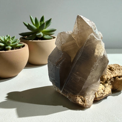 Smoky Quartz Clustered Specimen N459