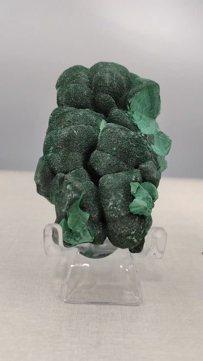 Velvet Malachite Sugar Coated Specimen N43 ( Free Shipping )