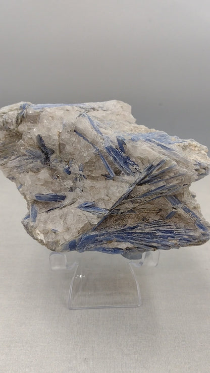 Blue Kyanite Specimen N13 (Free Shipping )