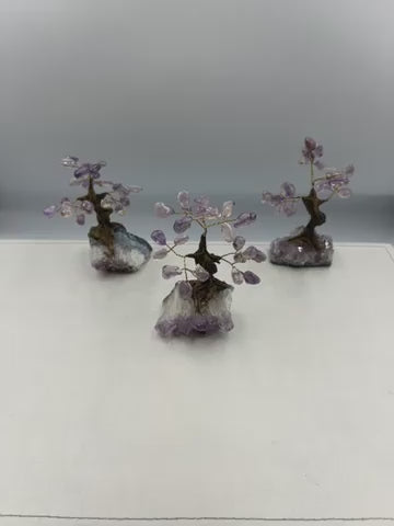 Amethyst Crystal  Bonsai Fortune Tree with Amethyst Base ( Free Shipping )