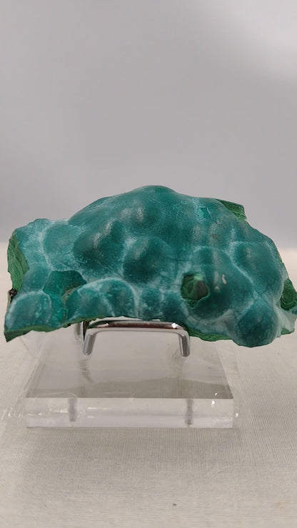 Chrysocolla Specimen N52 ( Free Shipping )